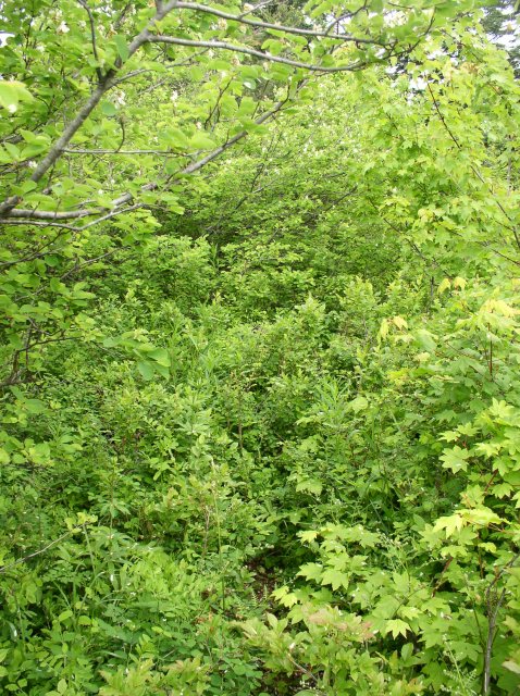 6.10.06 Table Mtn_3CR 104 